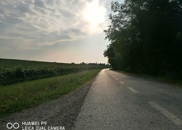 بيت ريفي Turisticna Kmetija Mlin *